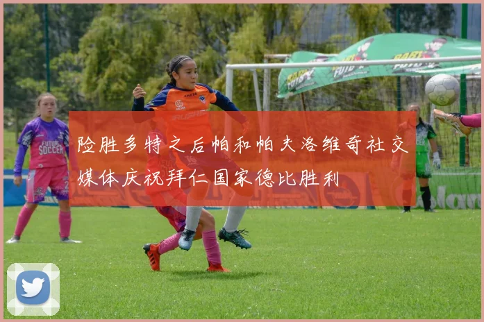 险胜多特之后帕和帕夫洛维奇社交媒体庆祝拜仁国家德比胜利