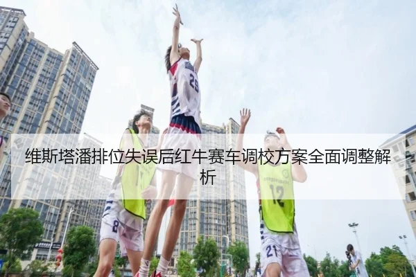 维斯塔潘排位失误后红牛赛车调校方案全面调整解析